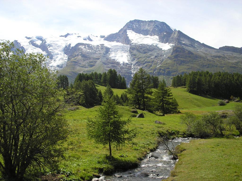 Chalet Bois D'Antan Bed and Breakfast Sainte-Foy-Tarentaise Εξωτερικό φωτογραφία